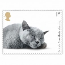 Cats Half Sheet 1st Class x 30 Stamps