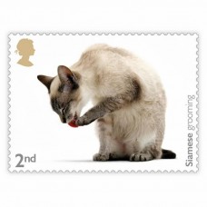 Cats Half Sheet 2nd Class x 30 Stamps