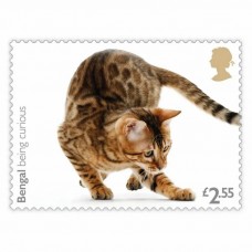 Cats Half Sheet £2.55 x 30 Stamps