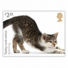 Cats Half Sheet £2.55 x 30 Stamps