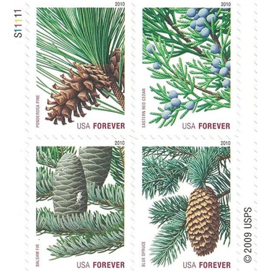 Holiday Evergreens Stamps 2010