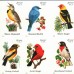 Songbirds Stamps 2014
