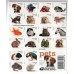 Pets Stamps 2016