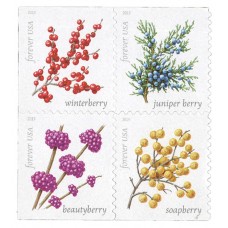 Winter Berries Stamps 2019