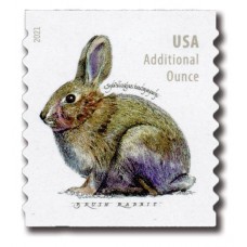Brush Rabbit Stamps 2021