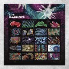 Life Magnified Stamps 2023