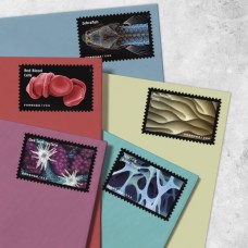 Life Magnified Stamps 2023