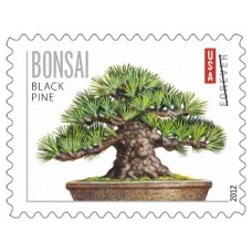 Bonsai Tree Stamps 2012