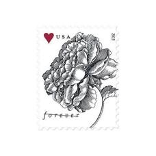 Engraved Vintage Rose Stamp 2015