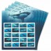 Sharks Forever Stamps 2017
