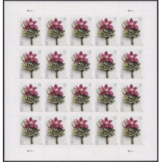 Contemporary Boutonniere Stamps 2020