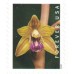 Wild Orchids Stamps 2020