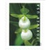 Wild Orchids Stamps 2020