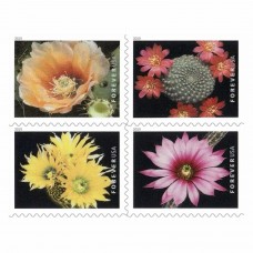 Cactus Flowers Stamps 2019
